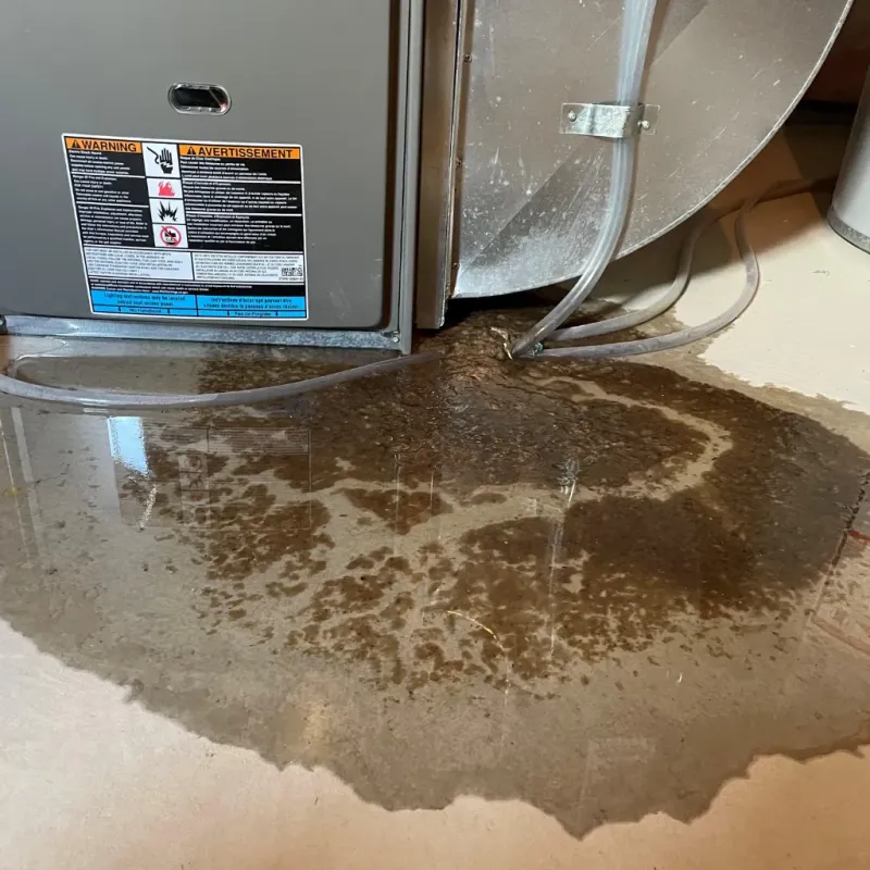 Appliance Leak Cleanup in Poestenkill, NY